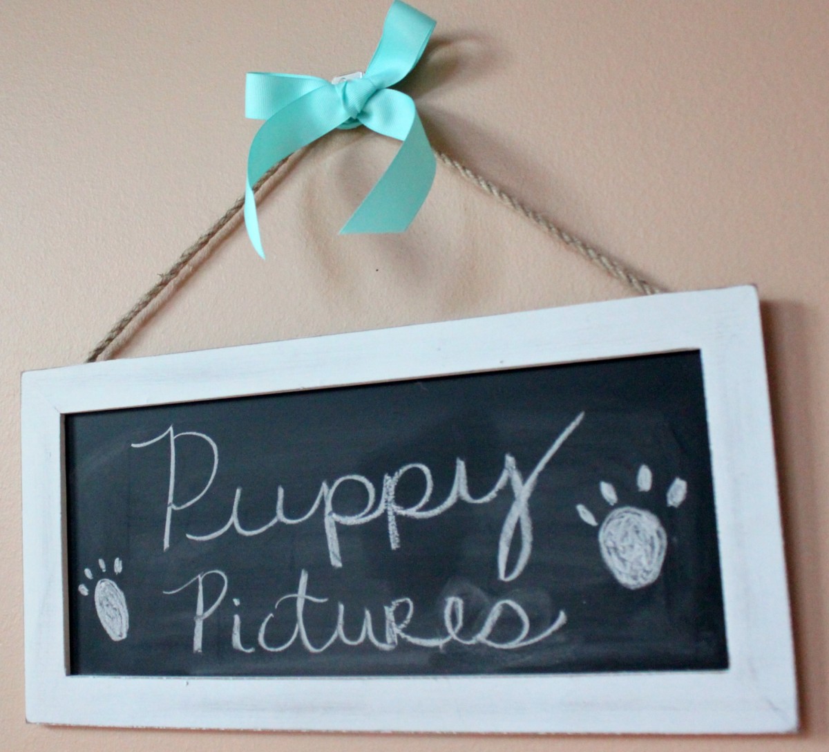 puppypictures